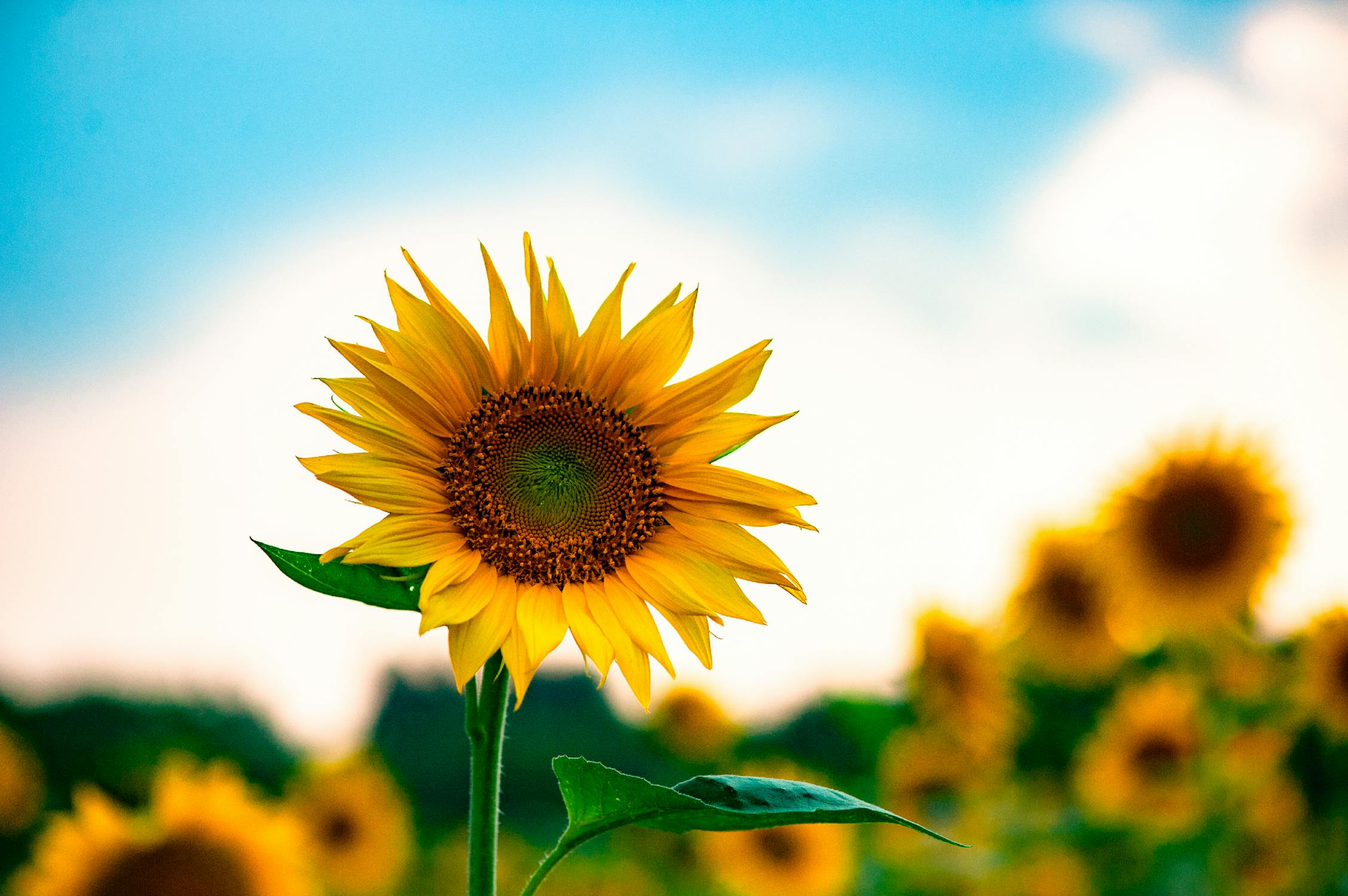 微信图片_20240903173031.png 微信图片_20240903173031.png